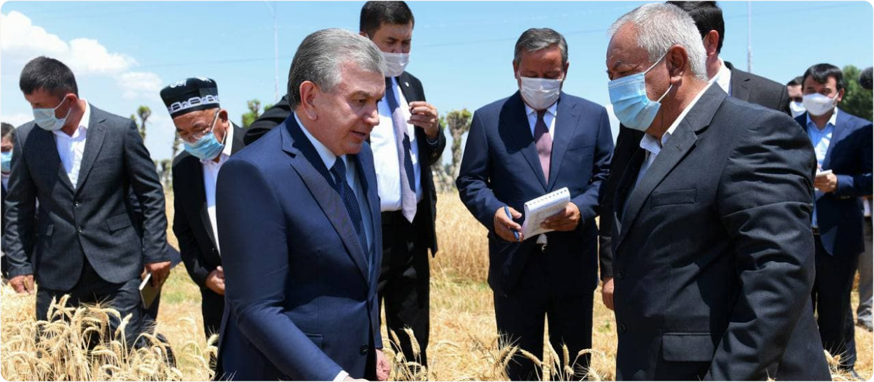 If the farmer is prosperous, the people will be prosperous